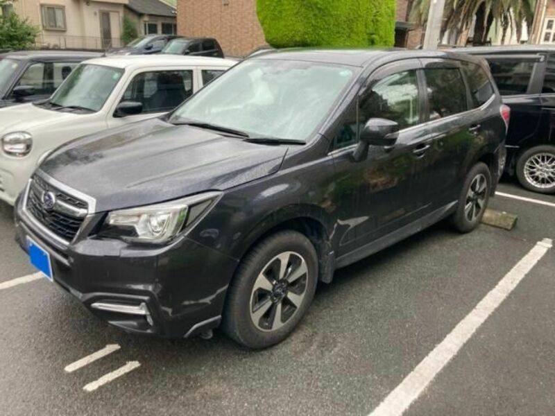 FORESTER