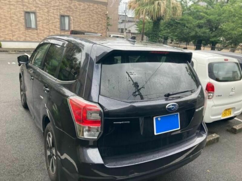FORESTER