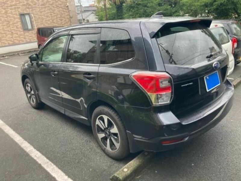 FORESTER