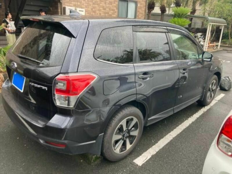 FORESTER