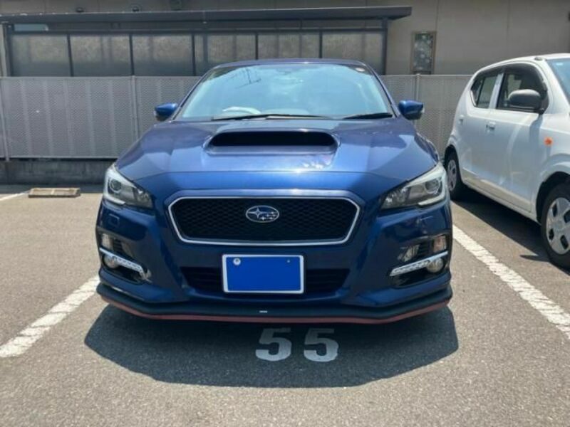LEVORG-0