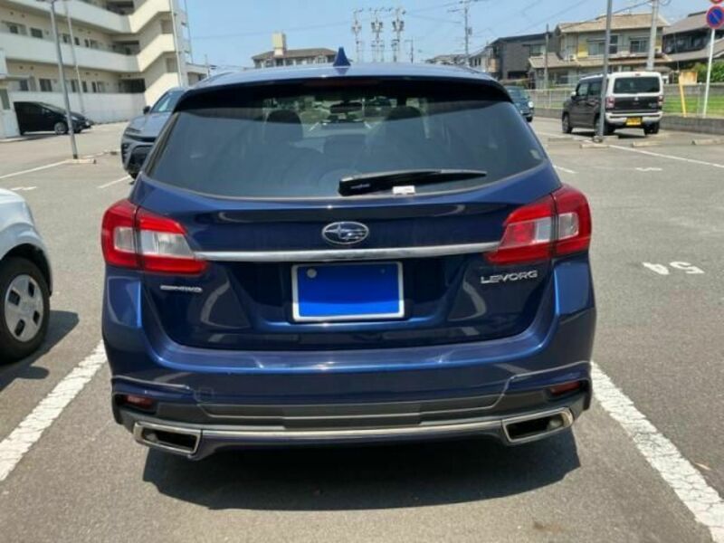 LEVORG