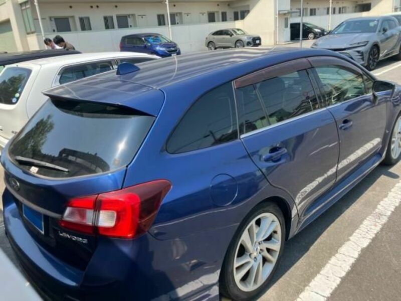LEVORG
