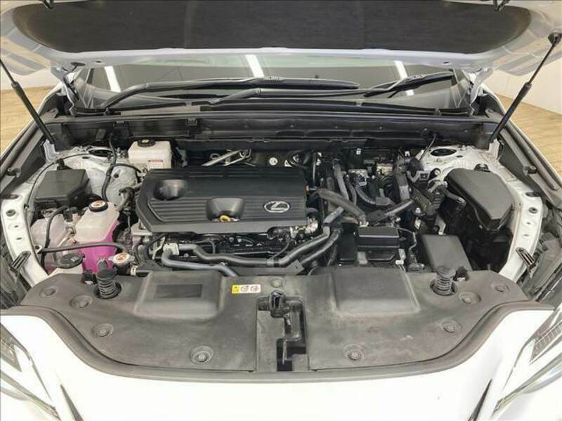 NX