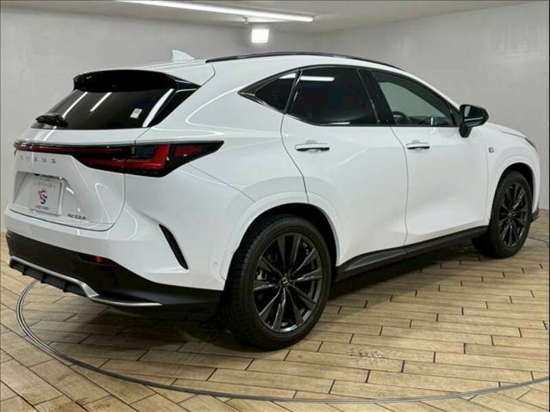 NX