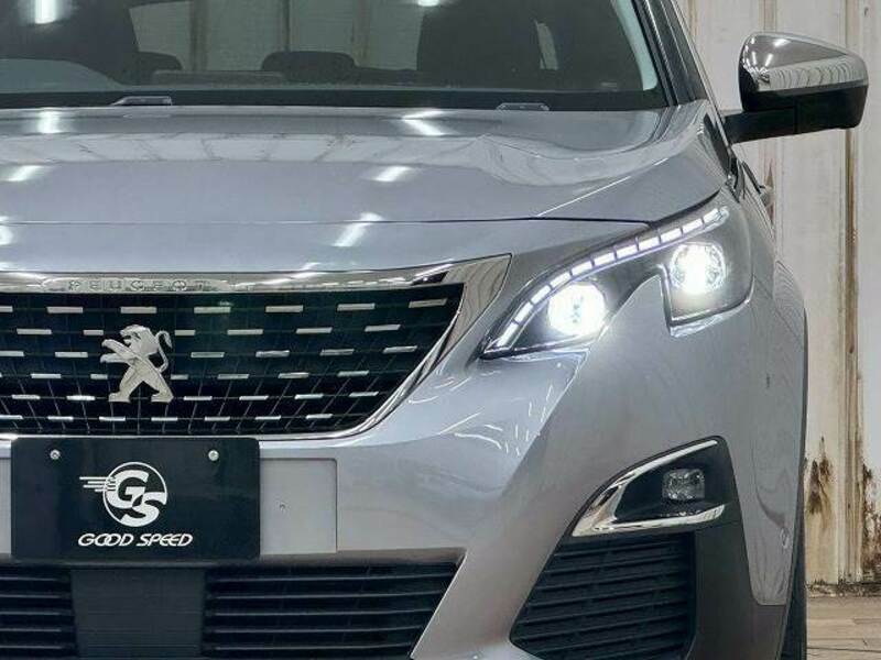 3008
