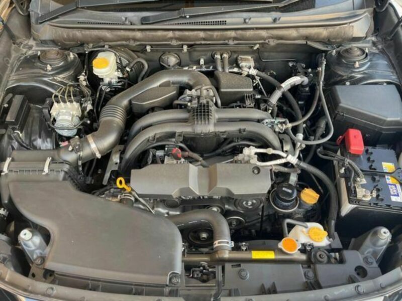 LEGACY OUTBACK