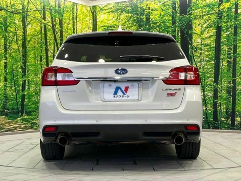 LEVORG