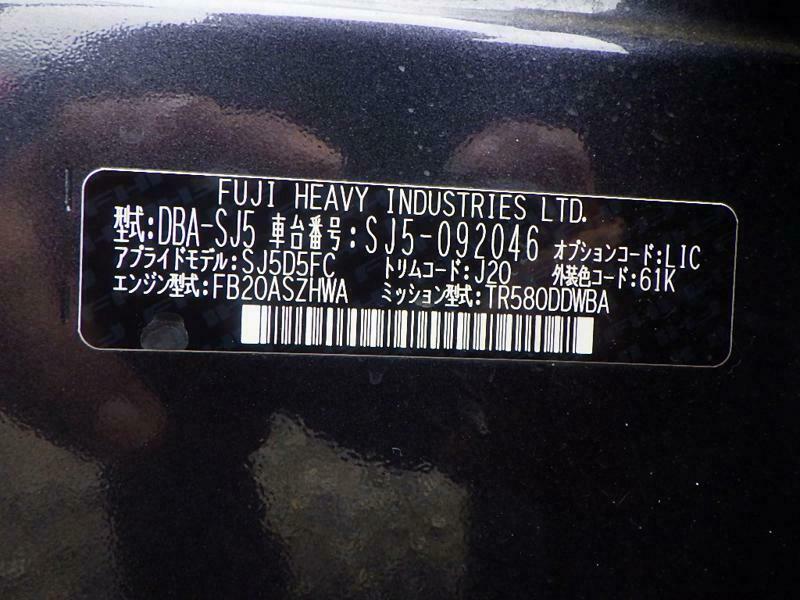 FORESTER