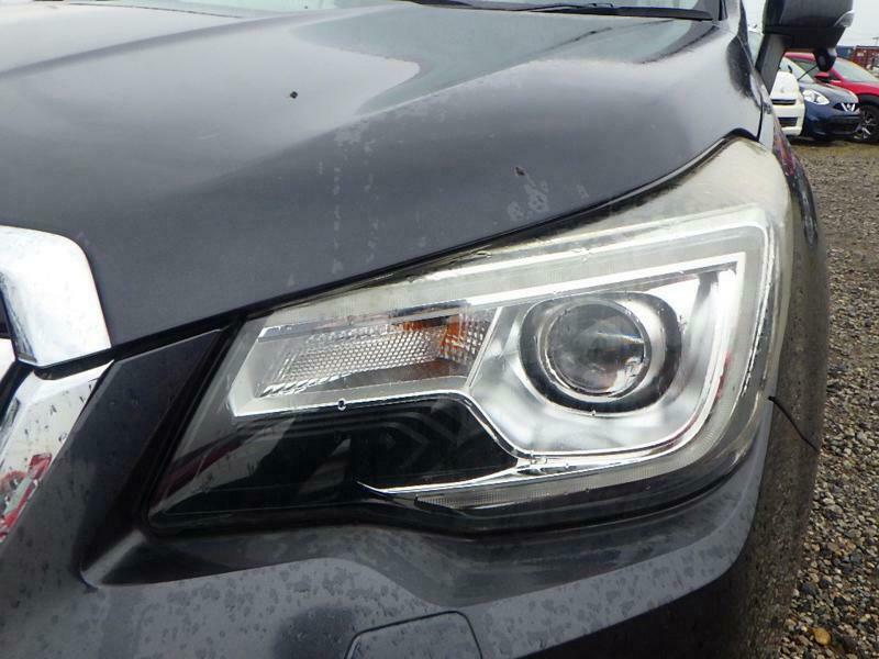 FORESTER