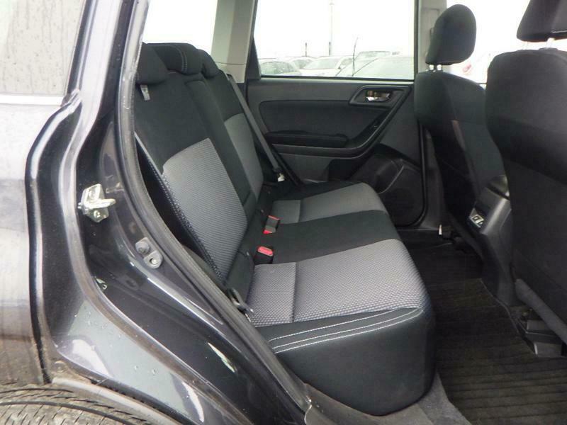 FORESTER