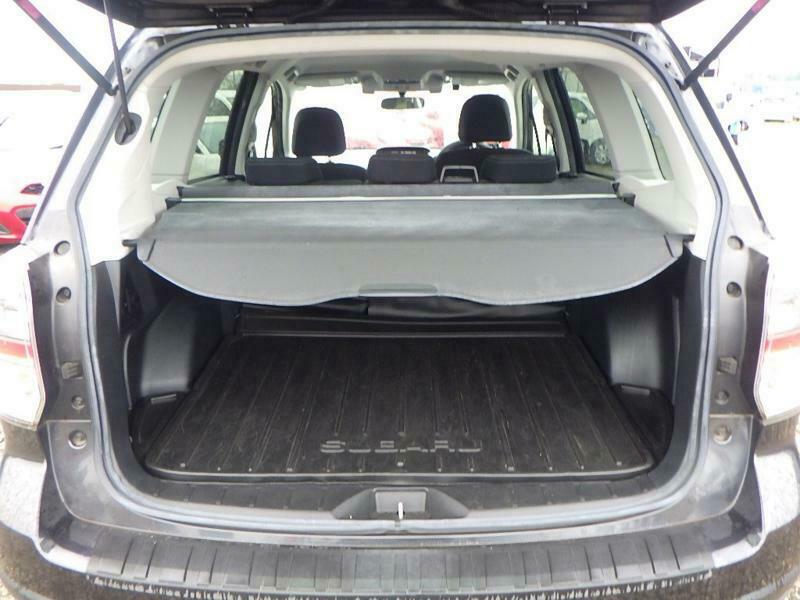 FORESTER
