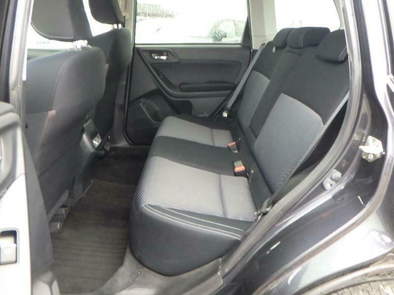 FORESTER