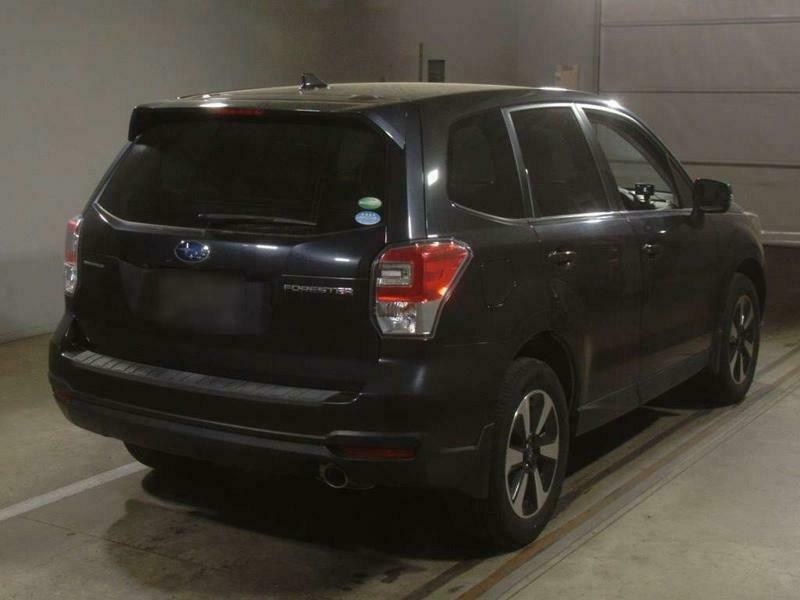 FORESTER