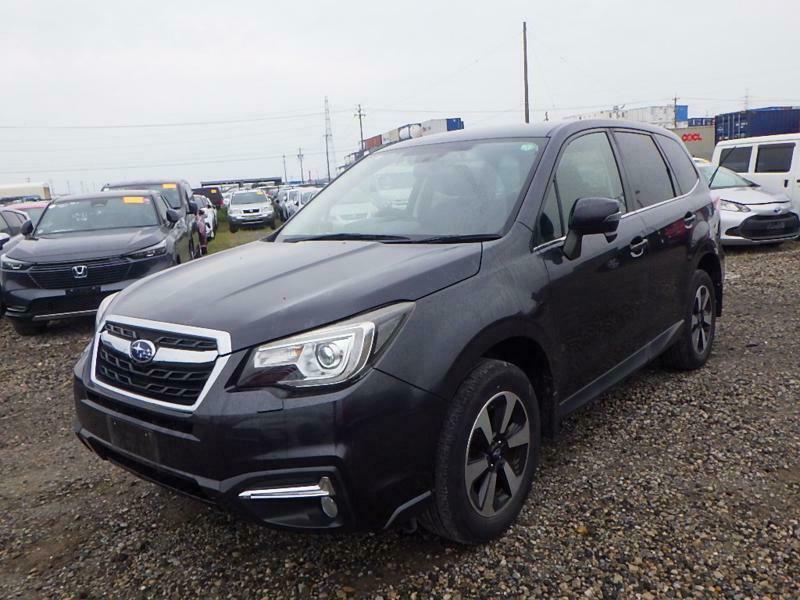 FORESTER