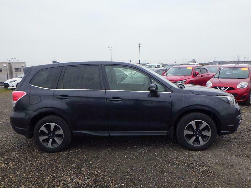 FORESTER