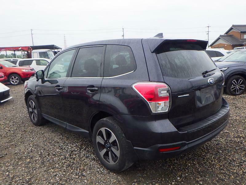 FORESTER