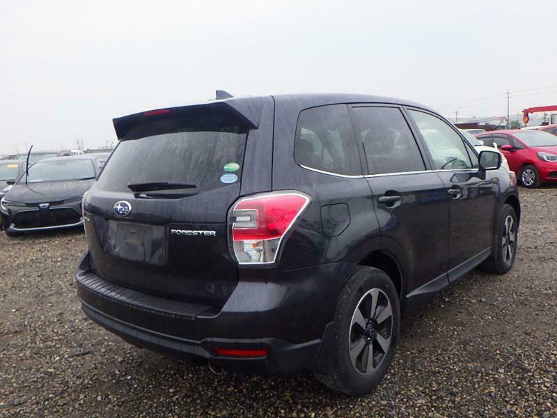 FORESTER