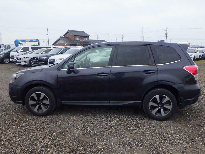 FORESTER