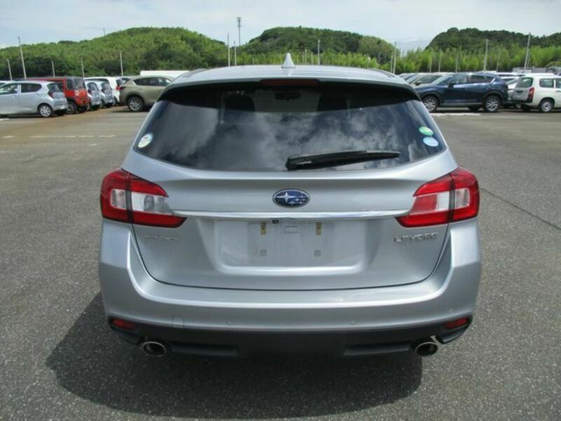 LEVORG