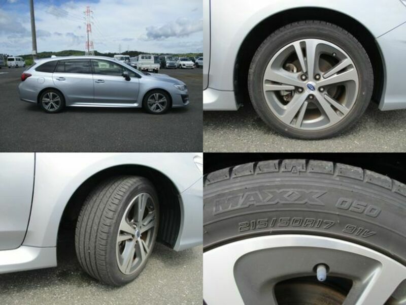 LEVORG