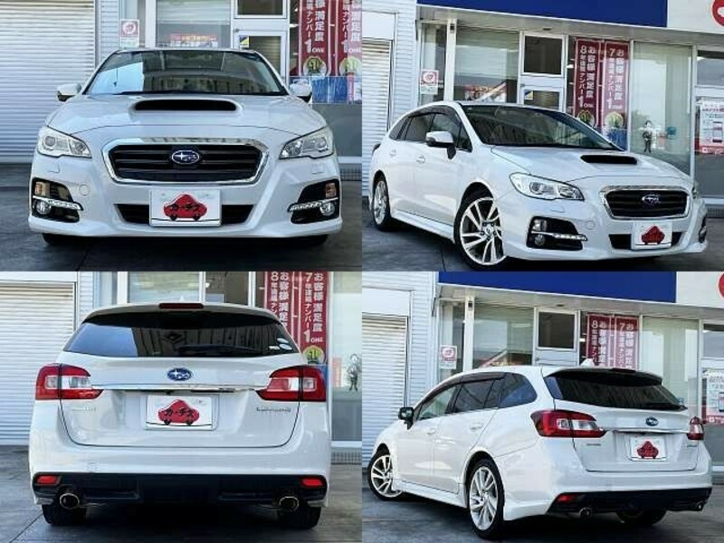 LEVORG