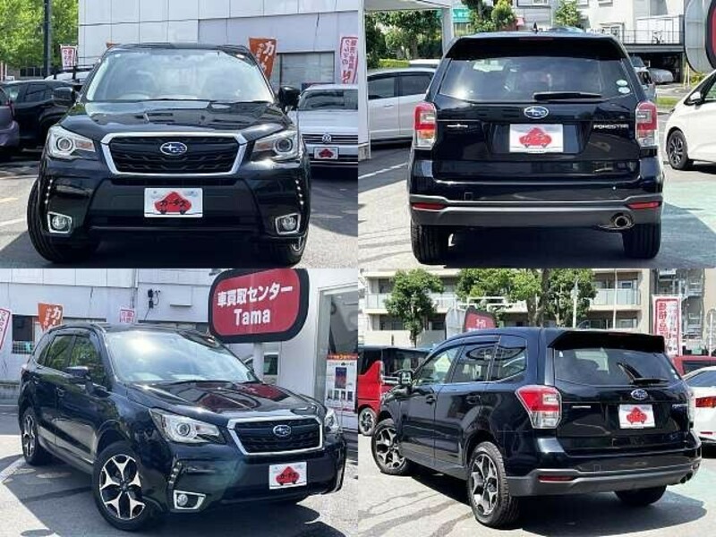 FORESTER