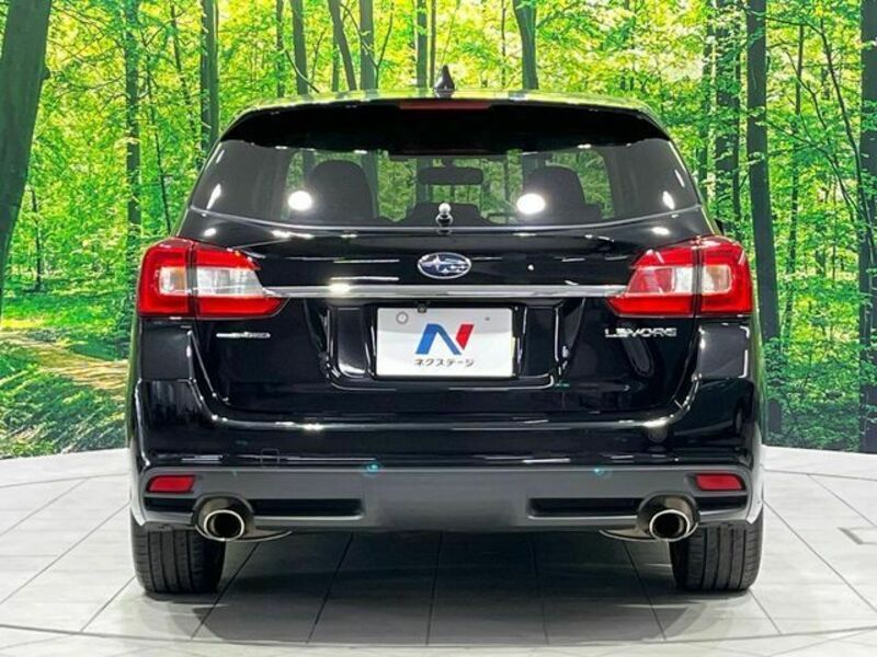 LEVORG