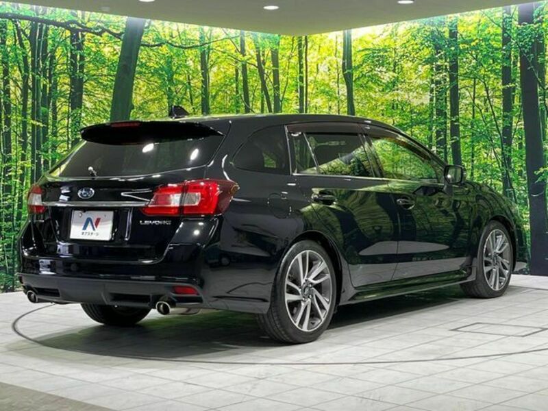 LEVORG
