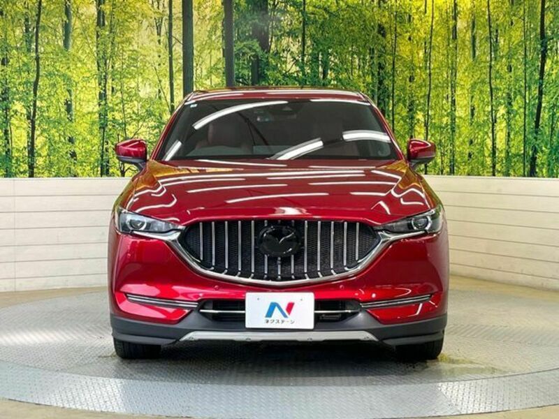 CX-8