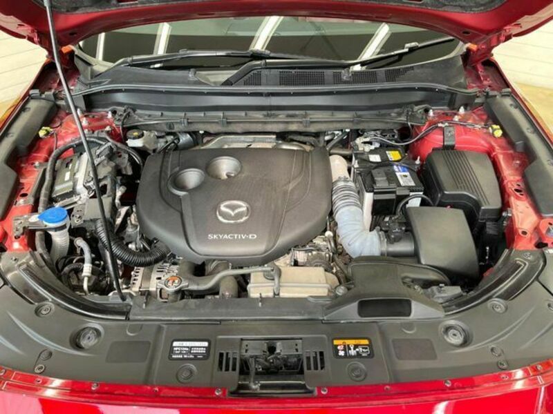 CX-8