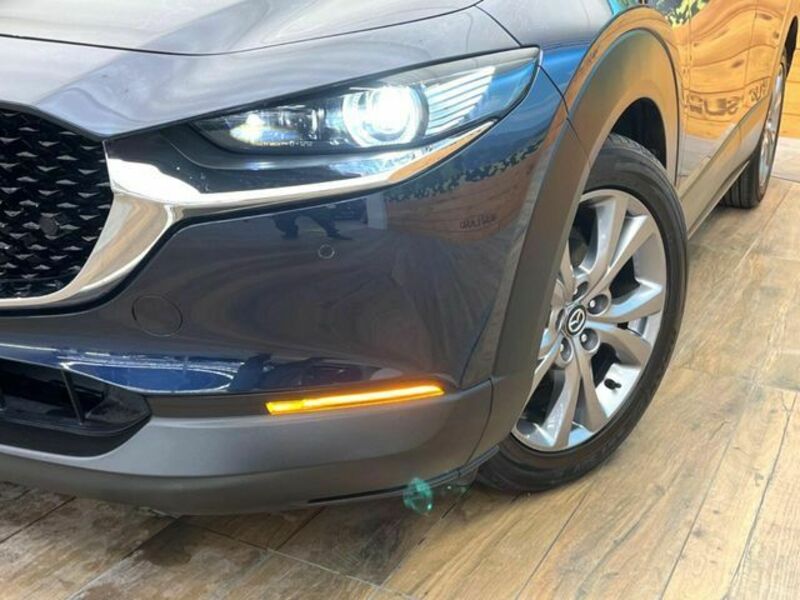 CX-30