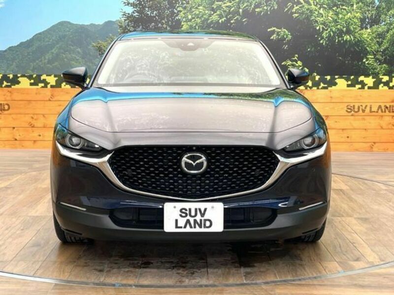 CX-30