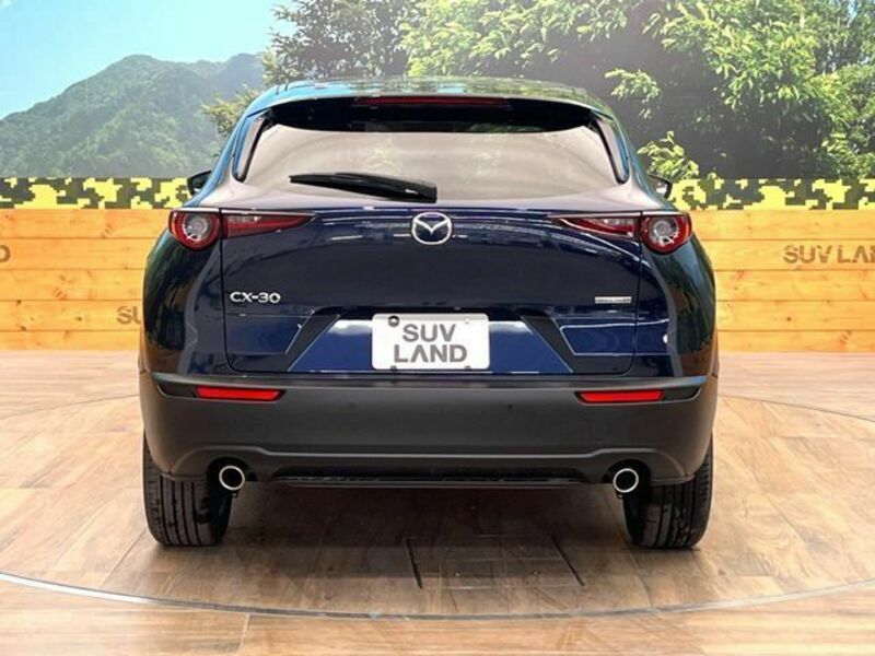 CX-30