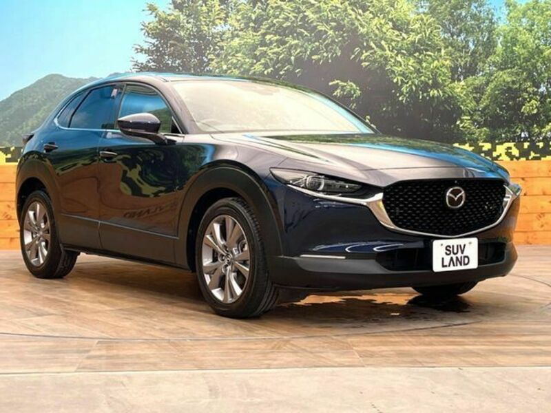 CX-30