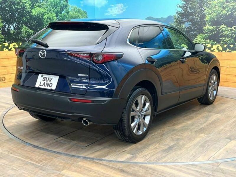 CX-30
