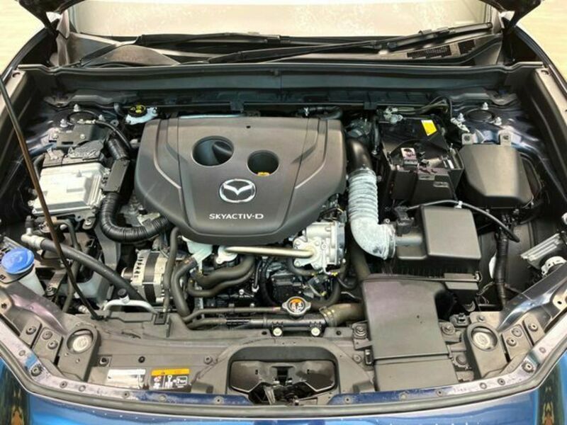 CX-30