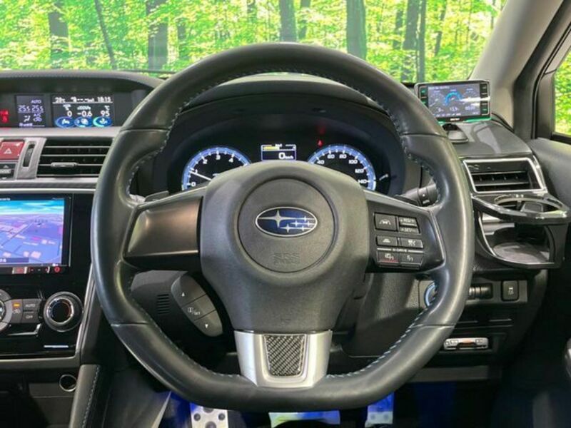 LEVORG
