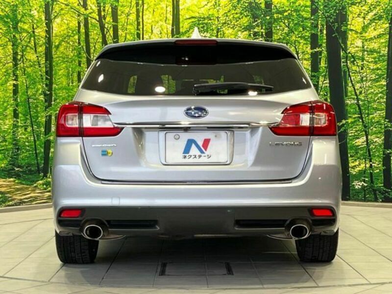LEVORG