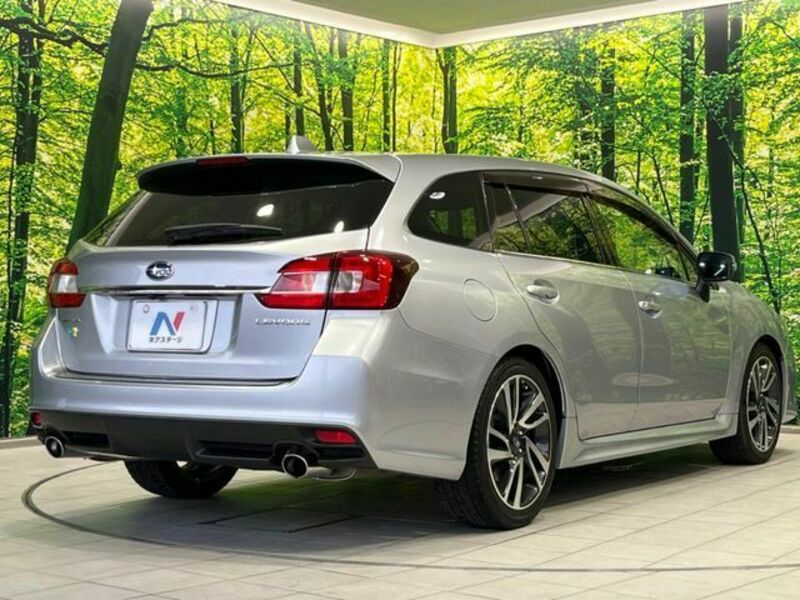 LEVORG