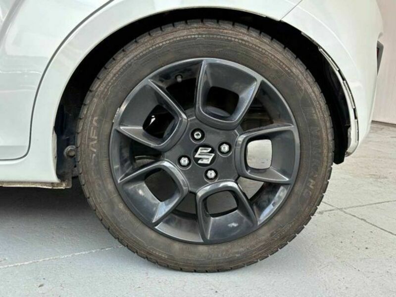 IGNIS
