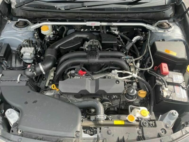 LEGACY OUTBACK