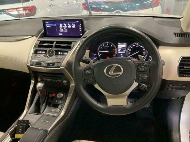 NX