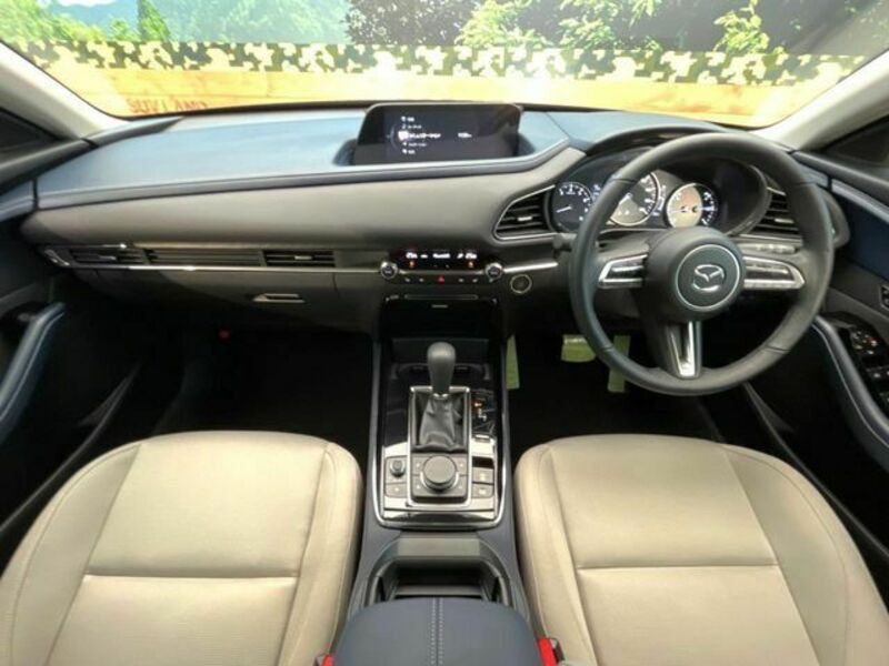 CX-30