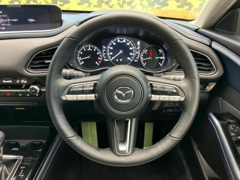 CX-30