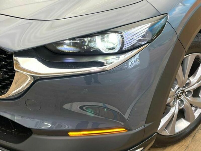 CX-30
