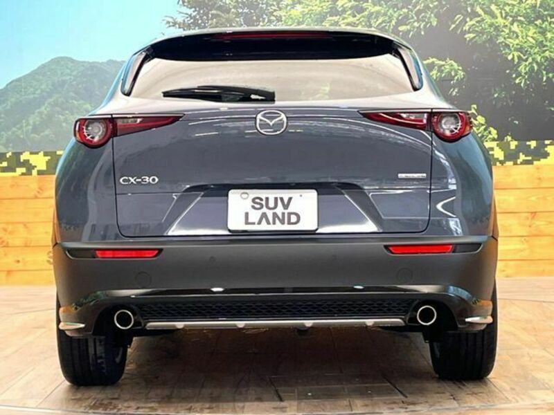 CX-30
