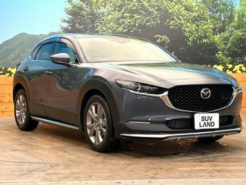 CX-30