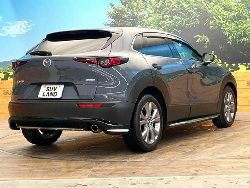 CX-30