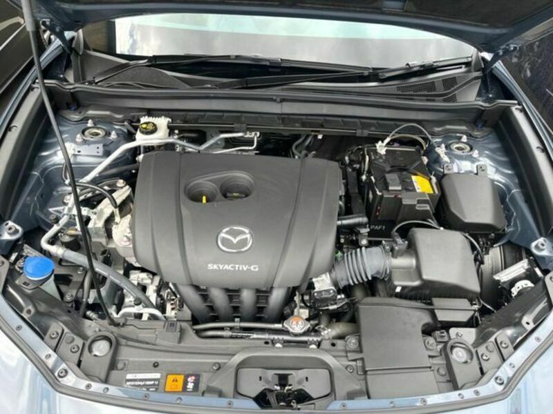 CX-30